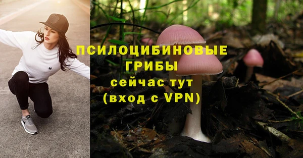 гашишное масло Вяземский