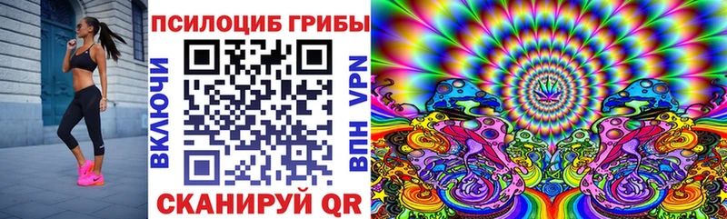 блэк спрут как зайти  сайты даркнета клад  Галлюциногенные грибы ЛСД  Мурманск 